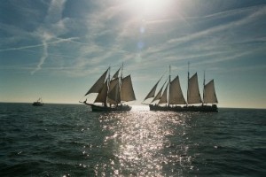 Brandarisrace 2019 - Zwarte Valk